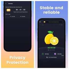 3x vpn apk